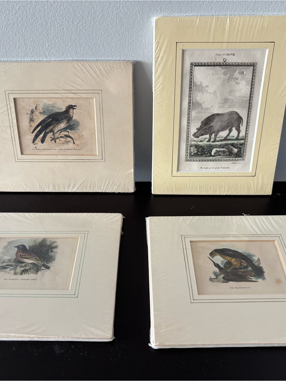 Antique 19th-century hand-colored or tinted bookplate/engraving set /4
